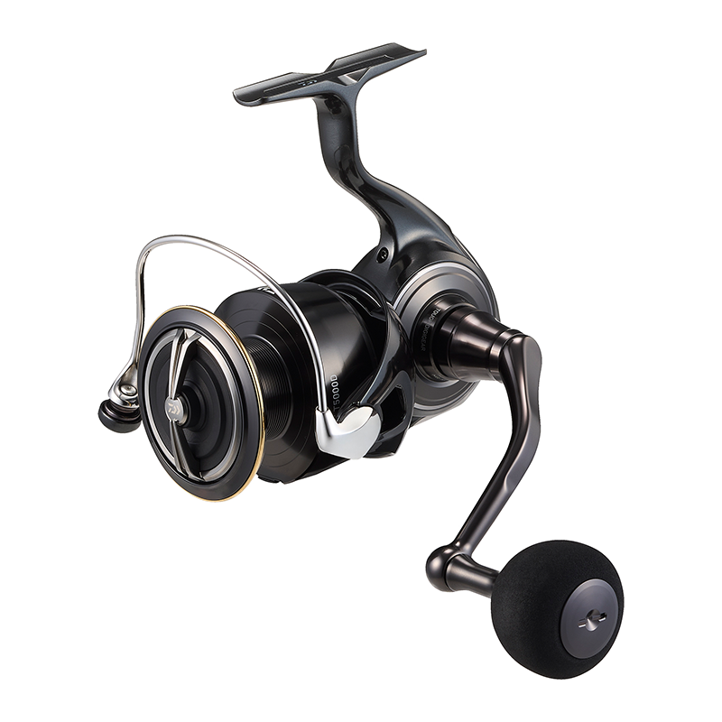 DAIWA 2026 Certate HD Visserij - Daiwa Reel Bg recensie en prijs